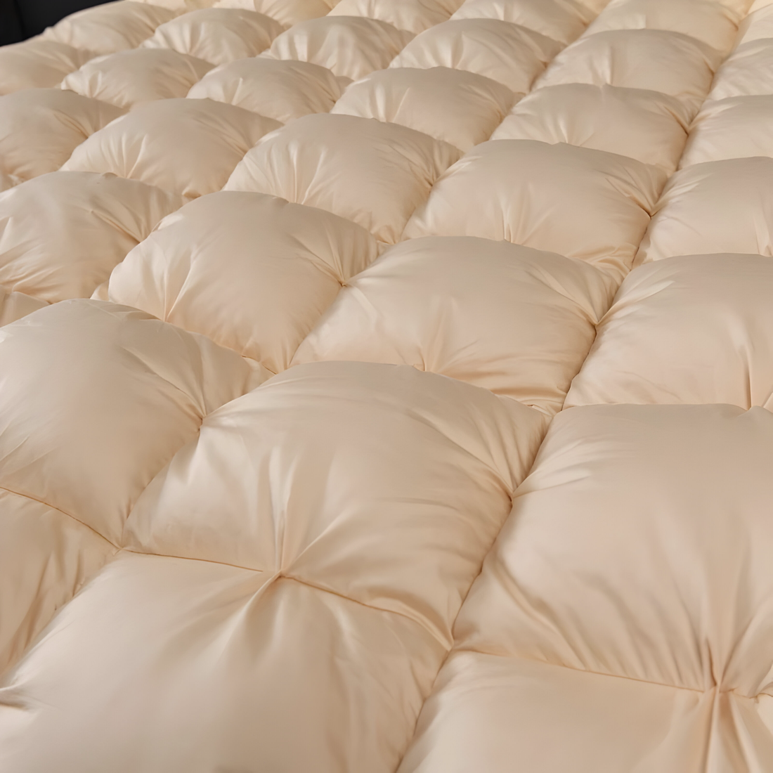 Splendore Beige Goose Down Comforter